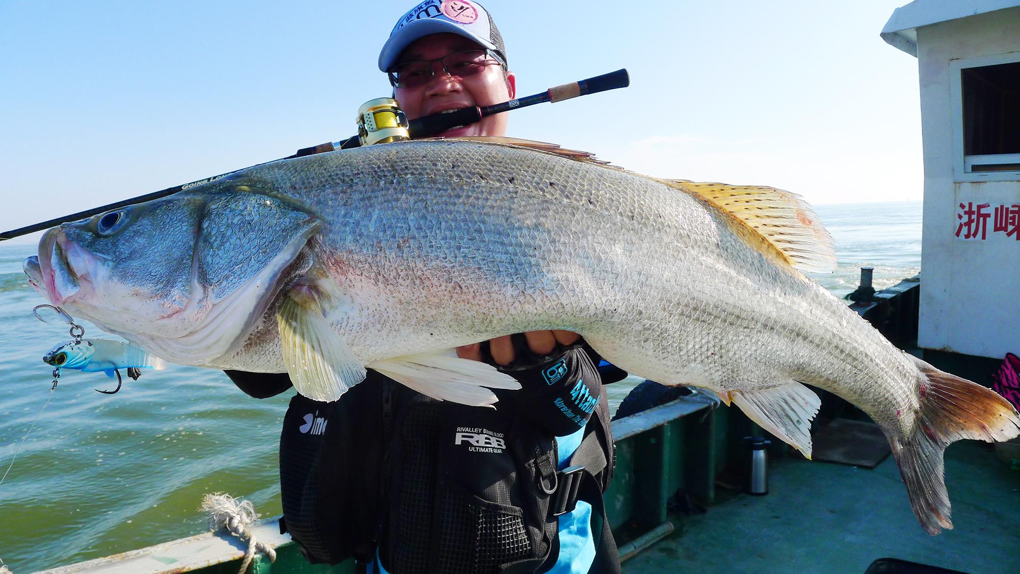 海里的鱼有哪些,海里的鱼有哪些颜色(都是海里的食肉鱼)