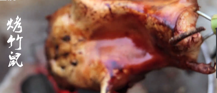 竹鼠广东做法，广东竹鼠养殖基地（广东人居然把老鼠）