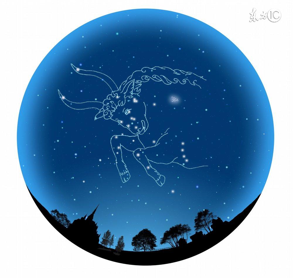 十二星座最适合的花茶，康仙花是康乃馨吗（康仙花的作用和功效）