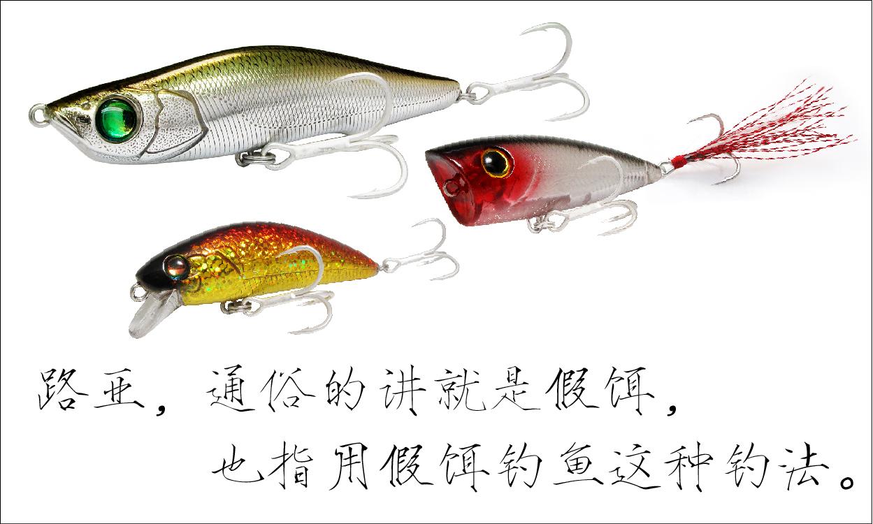 海里的鱼有哪些，海里的鱼有哪些颜色（都是海里的食肉鱼）