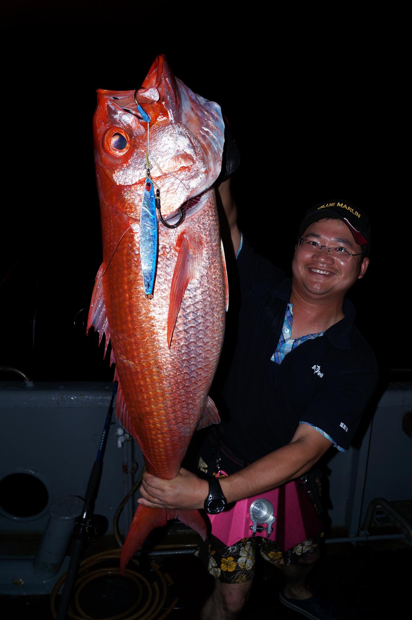 海里的鱼有哪些，海里的鱼有哪些颜色（都是海里的食肉鱼）