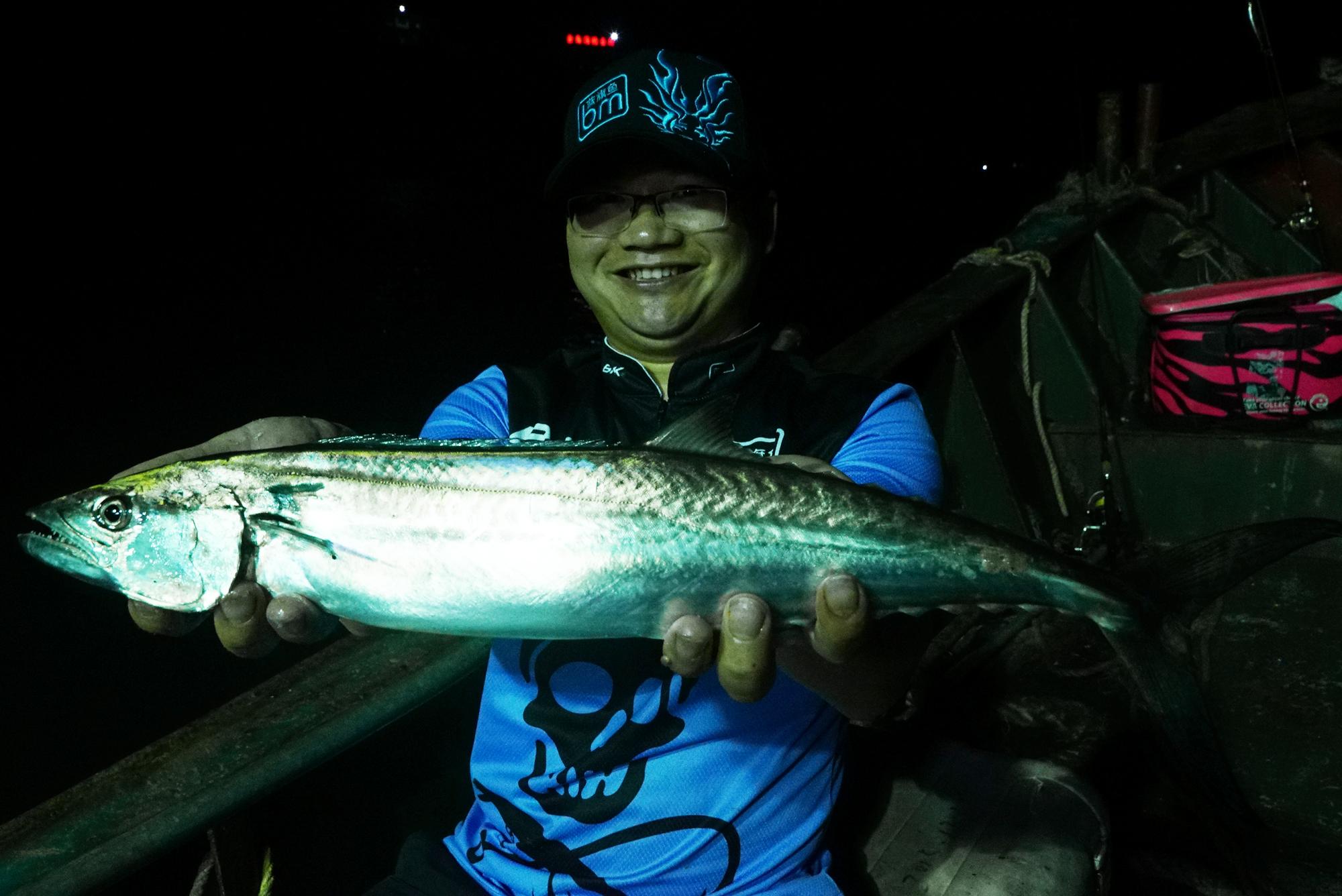 海里的鱼有哪些，海里的鱼有哪些颜色（都是海里的食肉鱼）