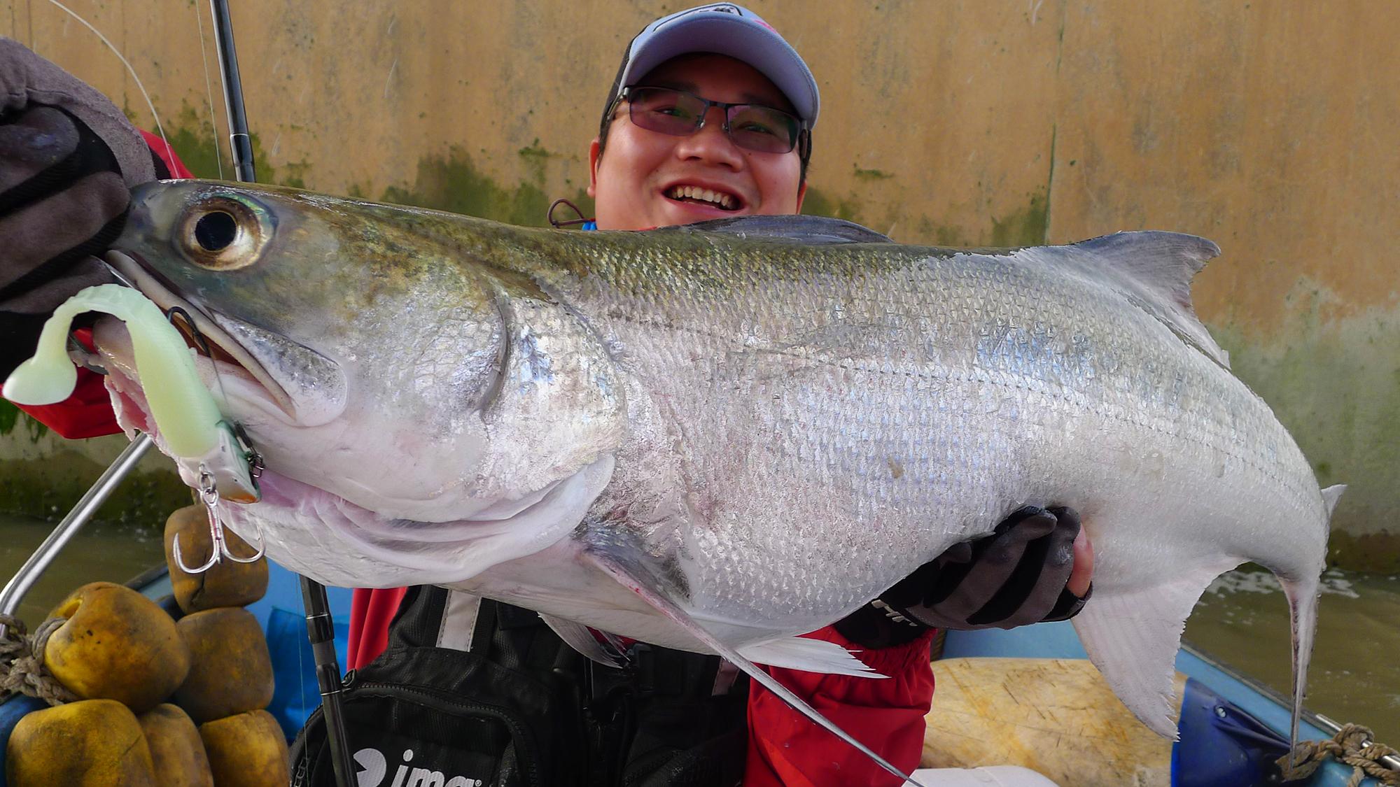 海里的魚有哪些,海里的魚有哪些顏色(都是海里的食肉魚)