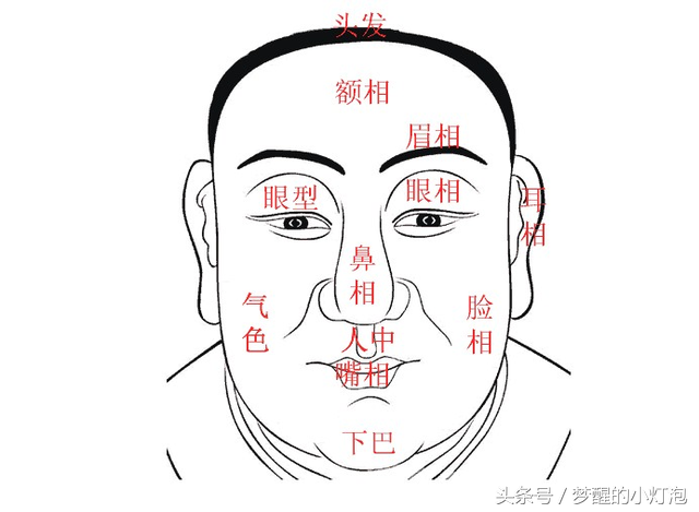 下巴代表什么,富贵有财相术福寿双收的4种下巴