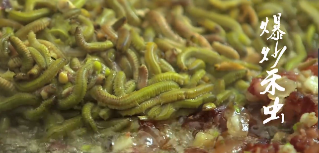 竹鼠广东做法，广东竹鼠养殖基地（广东人居然把老鼠）