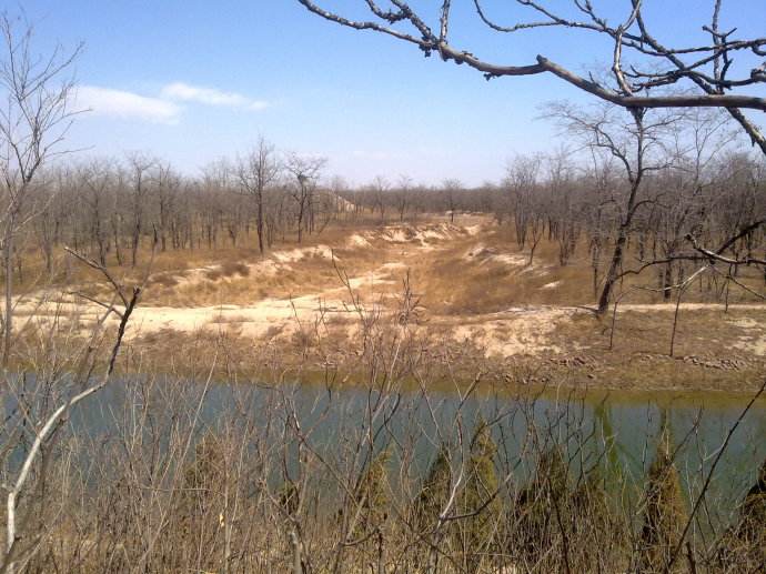 哈利路亚是什么意思，哈利路亚是什么意思韩国（梦到去世老父指着一处地不说话）