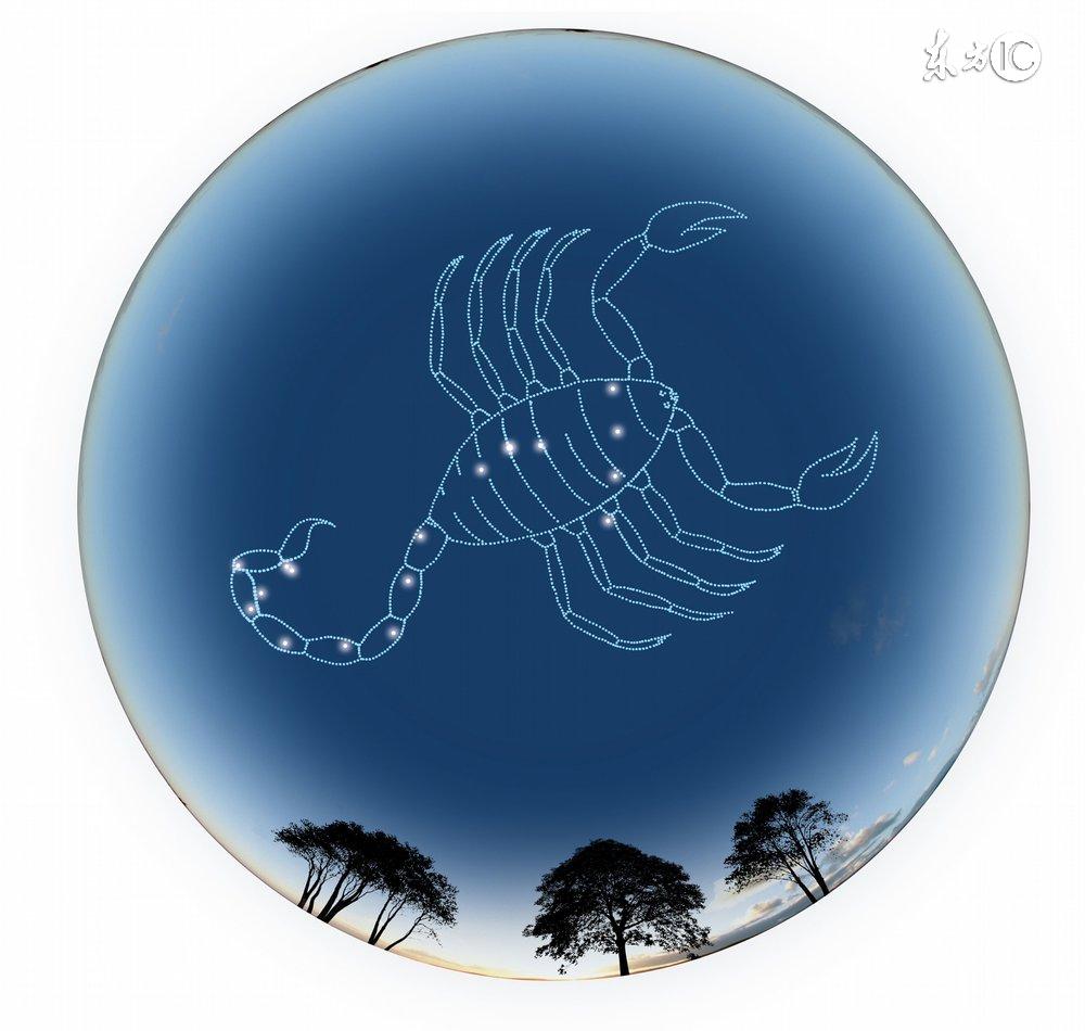 十二星座最适合的花茶，康仙花是康乃馨吗（康仙花的作用和功效）