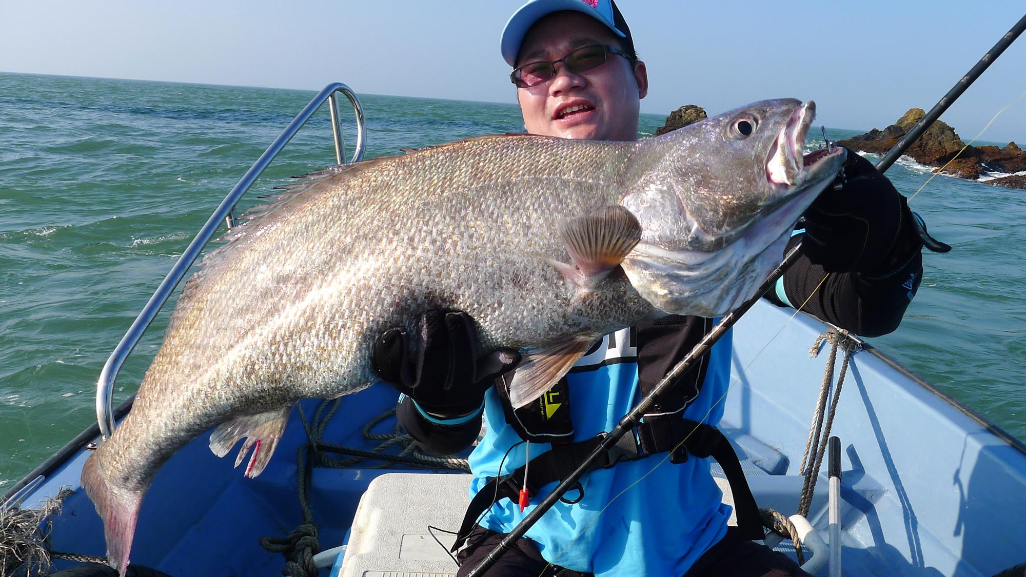 海里的鱼有哪些,海里的鱼有哪些颜色(都是海里的食肉鱼)