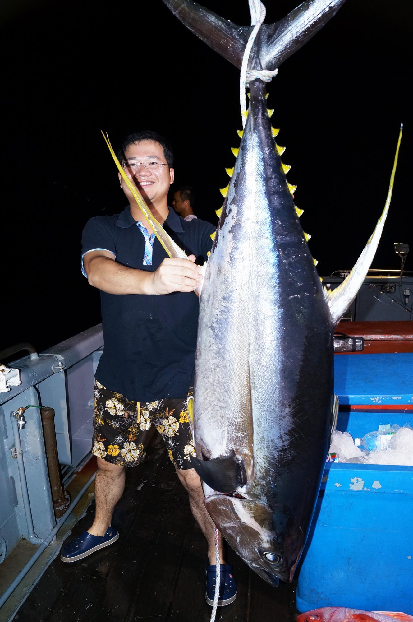 海里的鱼有哪些，海里的鱼有哪些颜色（都是海里的食肉鱼）