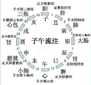 十二时辰与五脏对应表详细时间表，12时辰对应时间脏腑（给你最健康最专业的作息时间安排）