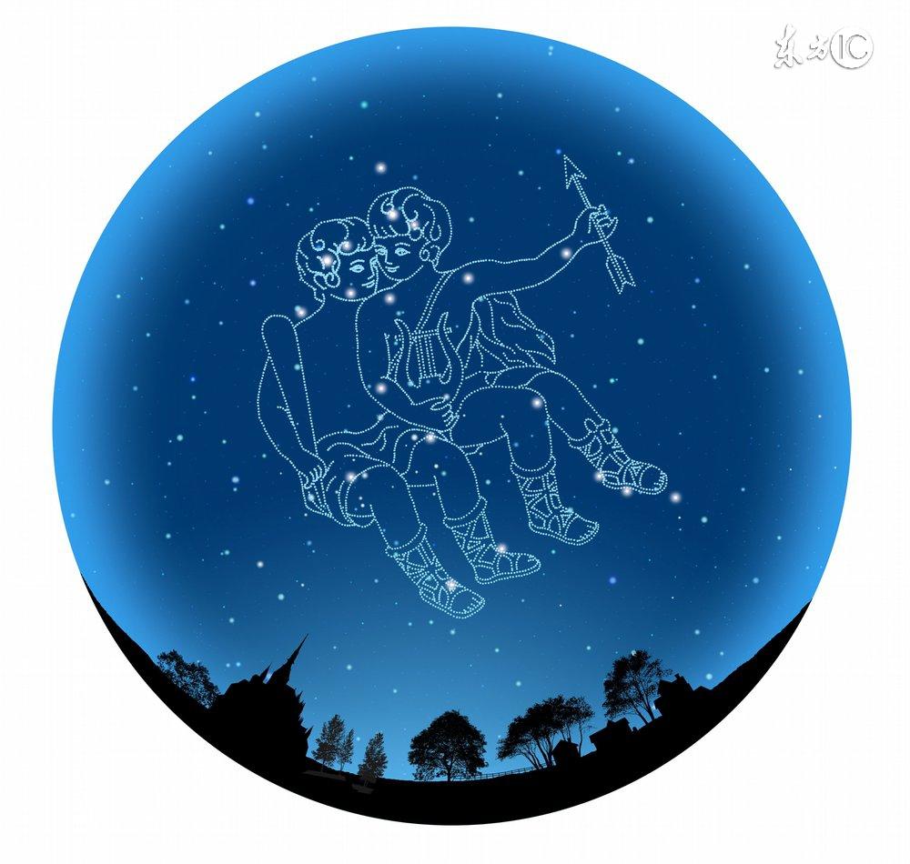 十二星座最适合的花茶，康仙花是康乃馨吗（康仙花的作用和功效）