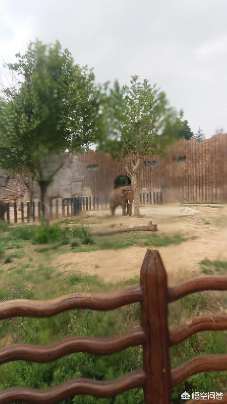 人生的意义是什么？