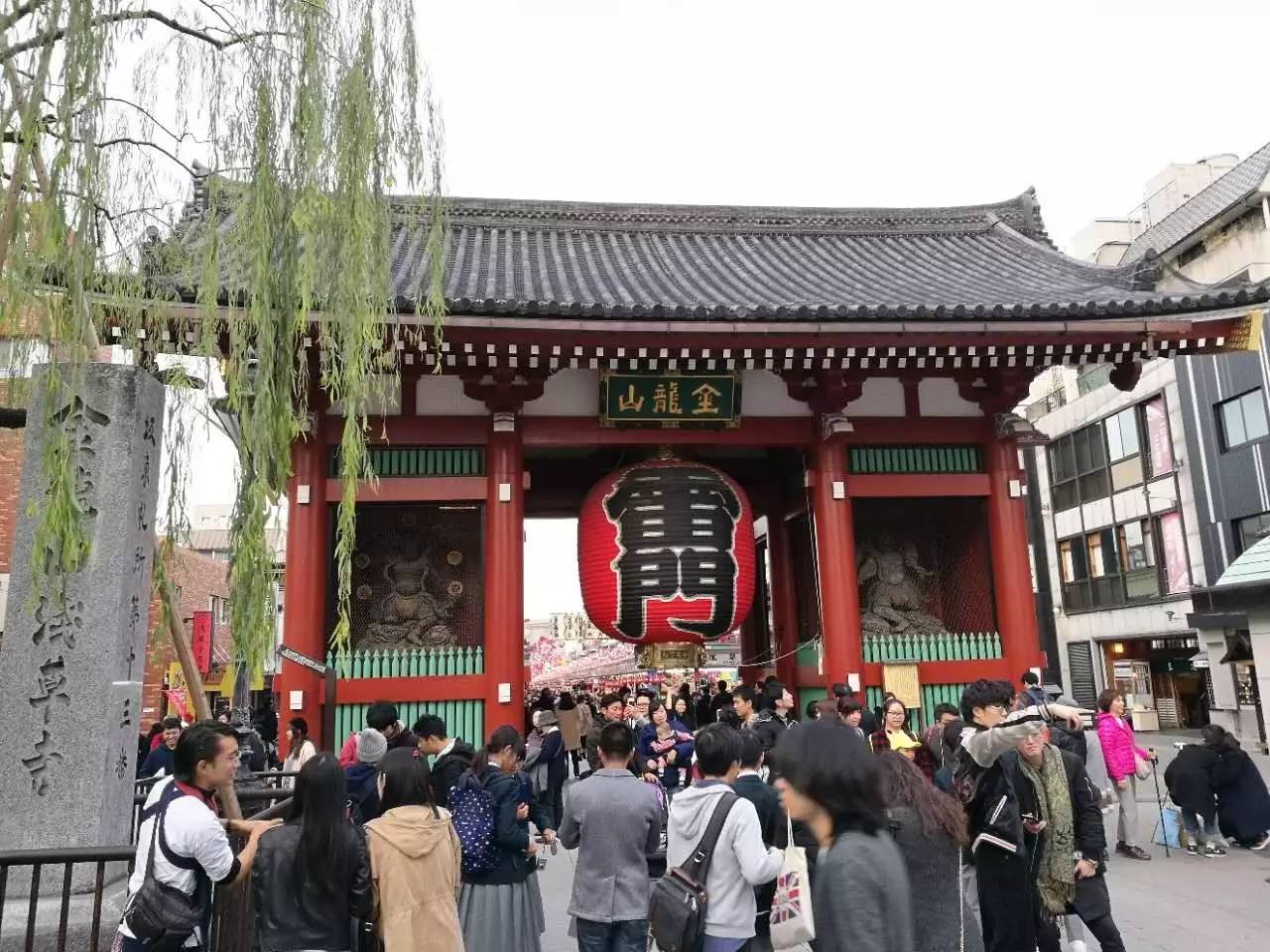 motogp官网中文版，motogp官网（去日本看场MotoGP吧——茂木站旅行观赛全套攻略）