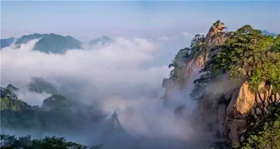 悼念的拼音怎么读，悼念的拼音（集梧，逢春须有日 岭上白云横）