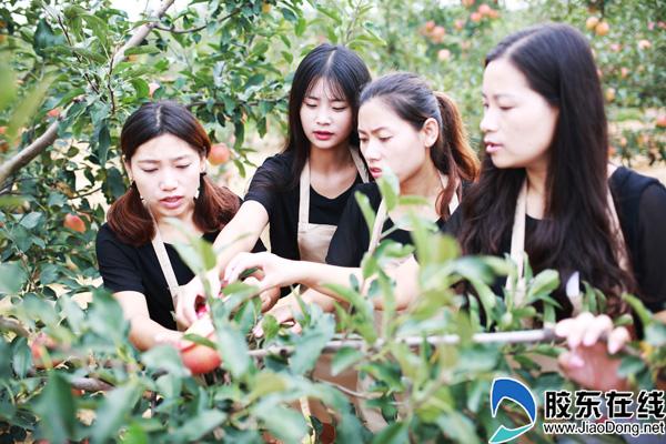 蓬莱特产怎么样，蓬莱特产去哪买好（田家四姐妹电商创业擦亮蓬莱品牌）