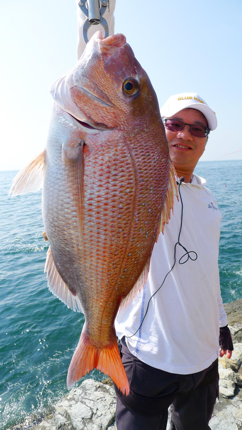 海里的鱼有哪些,海里的鱼有哪些颜色(都是海里的食肉鱼)
