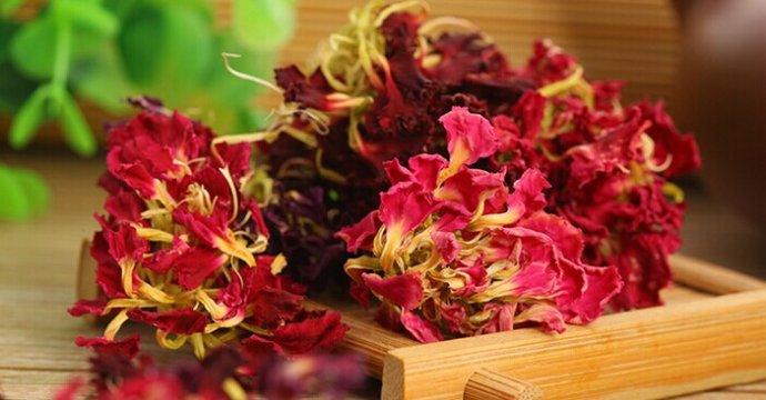 十二星座最适合的花茶，康仙花是康乃馨吗（康仙花的作用和功效）