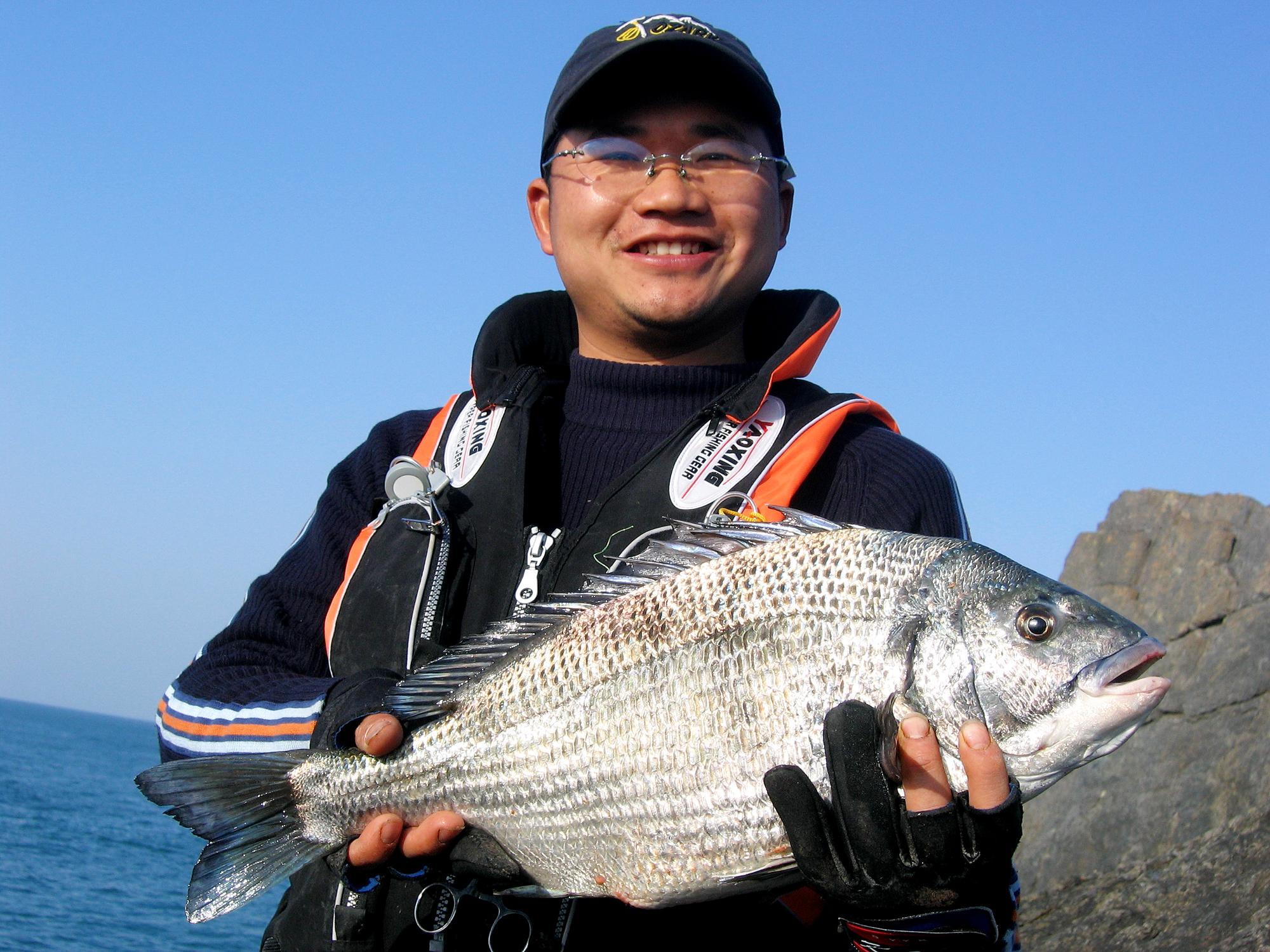 海里的鱼有哪些,海里的鱼有哪些颜色(都是海里的食肉鱼)