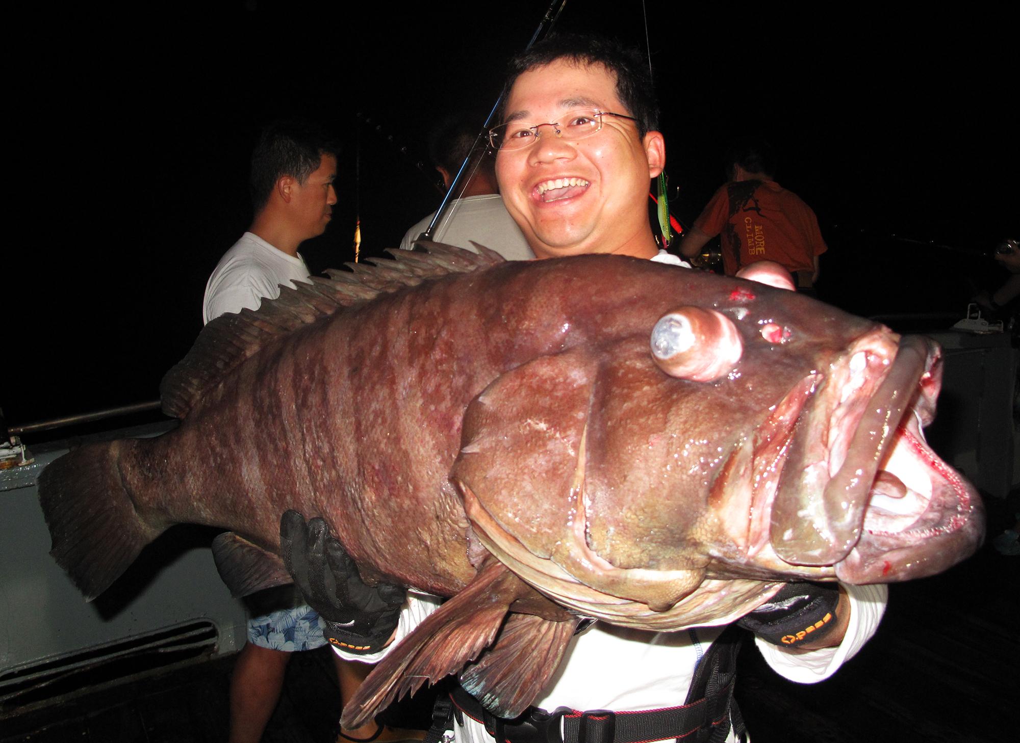 海里的魚有哪些,海里的魚有哪些顏色(都是海里的食肉魚)