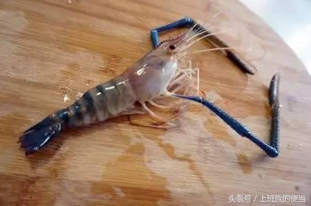 为什么叫基围虾，怎样做基围虾（皮皮虾、罗氏虾、基围虾、澳龙等到底怎么区分）