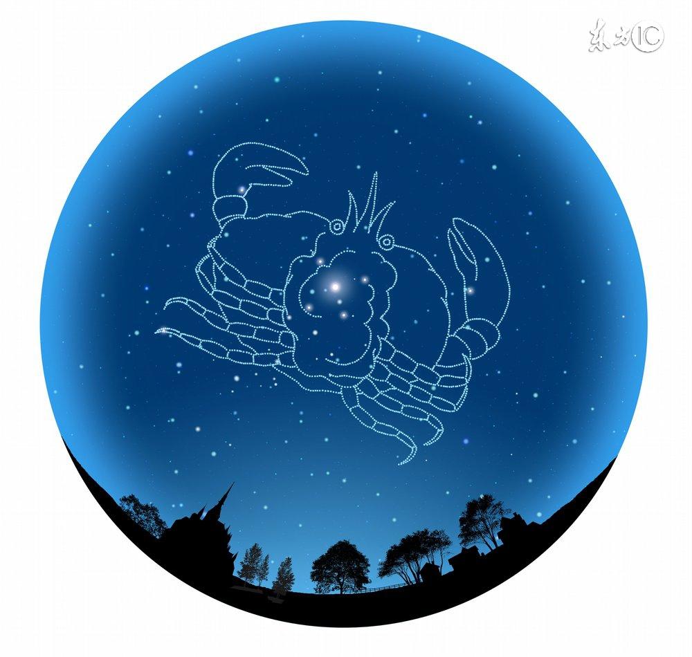 十二星座最适合的花茶，康仙花是康乃馨吗（康仙花的作用和功效）