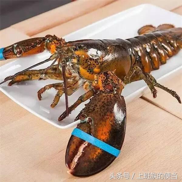 为什么叫基围虾，怎样做基围虾（皮皮虾、罗氏虾、基围虾、澳龙等到底怎么区分）