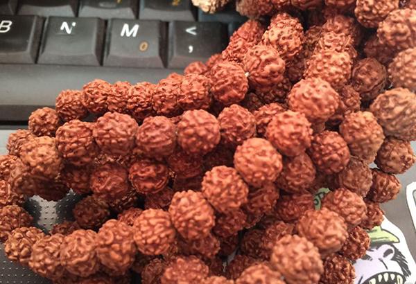 细说小金刚菩提的纹路，最新图文教程（从纹路看菩提小金刚的品质）