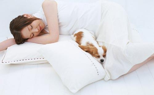 梦到梅花鹿是什么意思，孕期梦境解读，轻松笑看梦境（做梦梦见梅花鹿是什么意思）