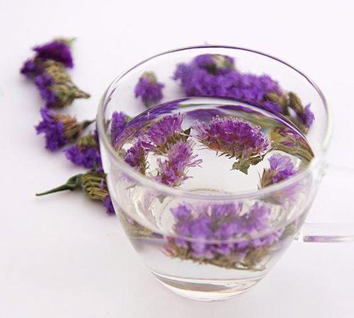 十二星座最适合的花茶，康仙花是康乃馨吗（康仙花的作用和功效）