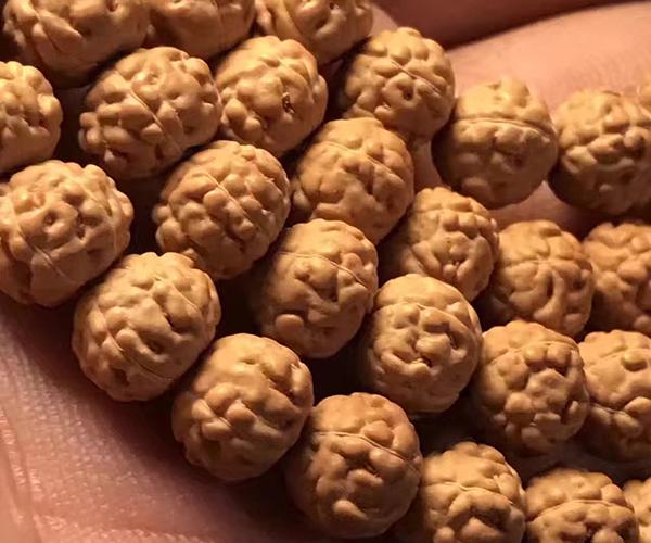 细说小金刚菩提的纹路，最新图文教程（从纹路看菩提小金刚的品质）