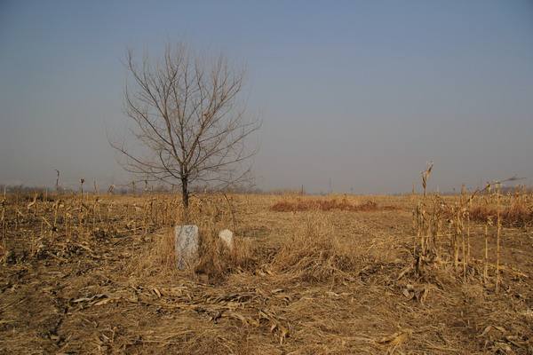 哈利路亚是什么意思，哈利路亚是什么意思韩国（梦到去世老父指着一处地不说话）