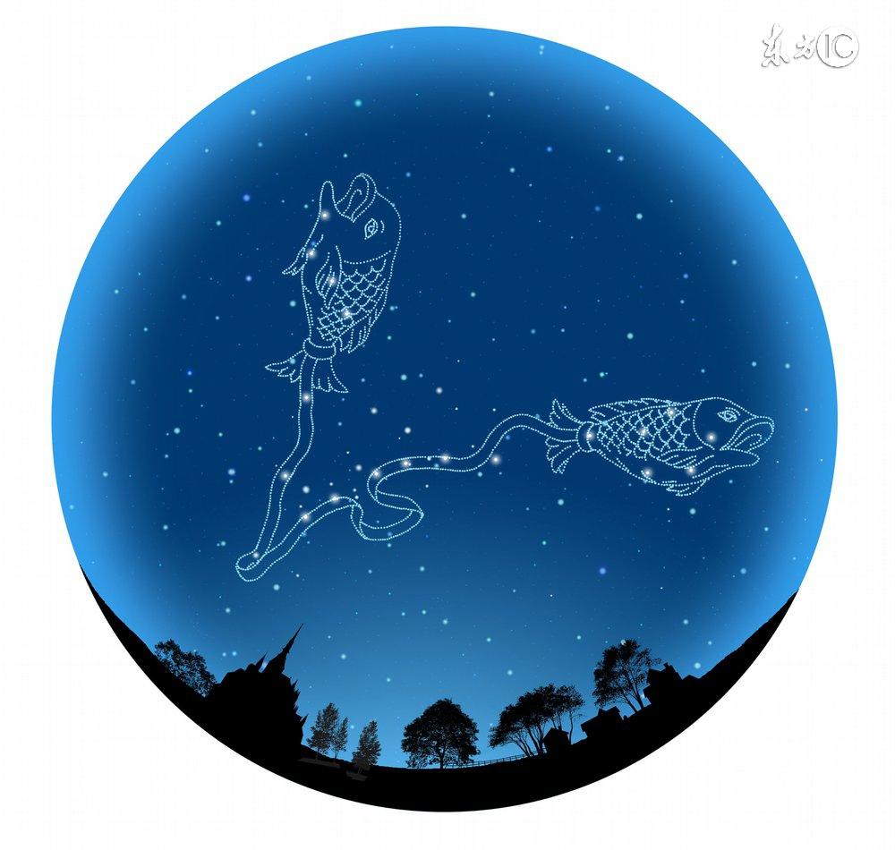 十二星座最适合的花茶，康仙花是康乃馨吗（康仙花的作用和功效）