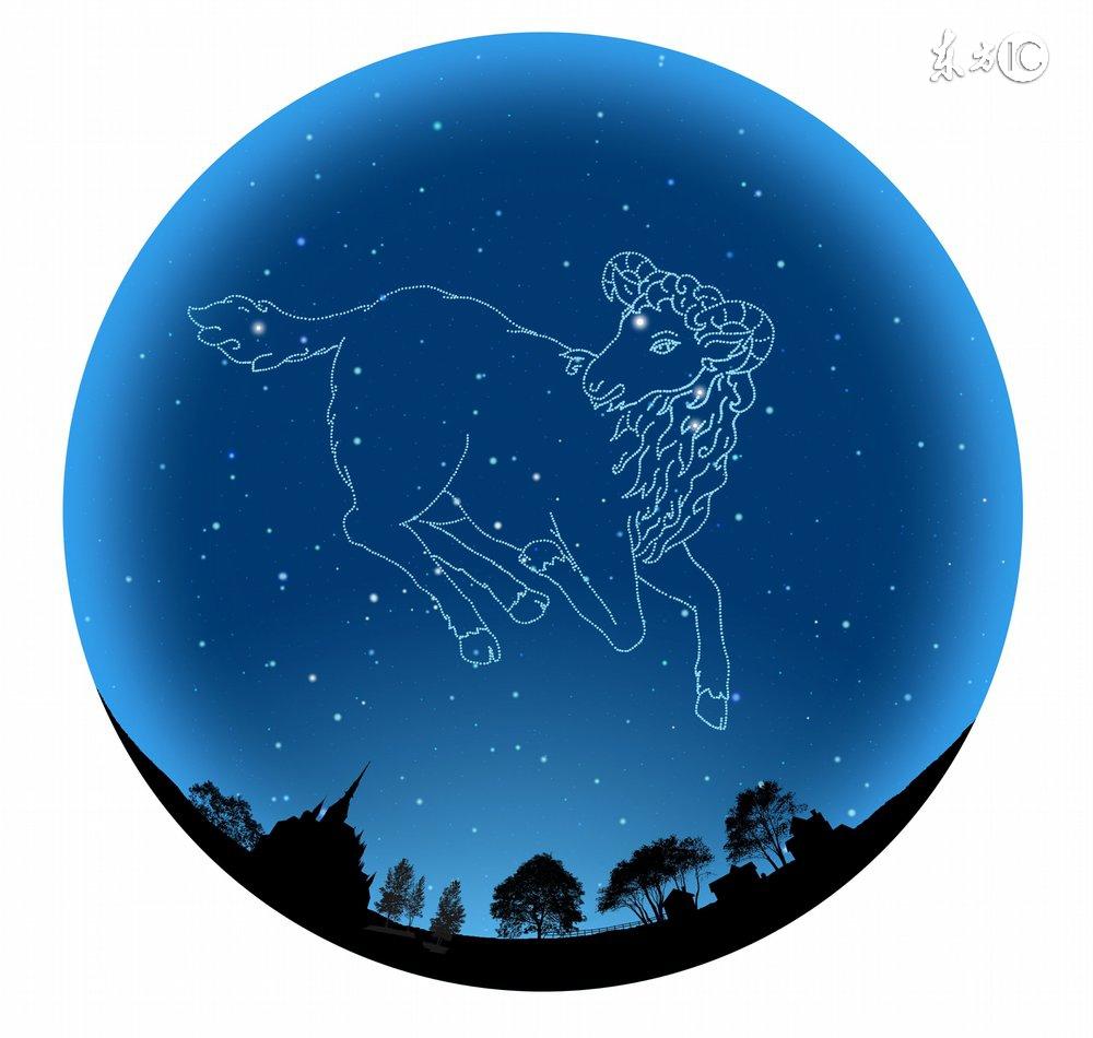 十二星座最适合的花茶，康仙花是康乃馨吗（康仙花的作用和功效）