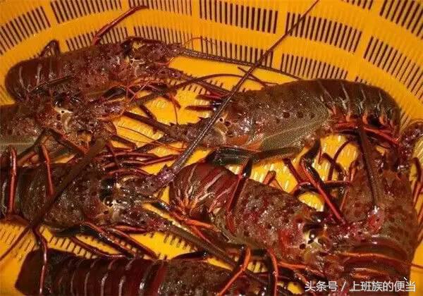 为什么叫基围虾，怎样做基围虾（皮皮虾、罗氏虾、基围虾、澳龙等到底怎么区分）