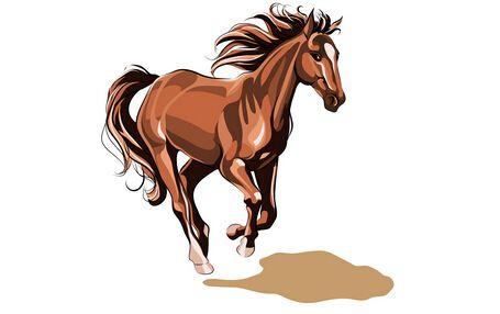 1990属马女32岁后命运，90属马二次婚姻在几岁（90年生肖马人全年运势吉与凶）