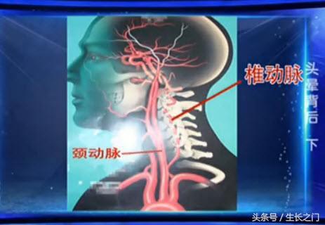 通脉颗粒怎么样，通脉颗粒能治头晕吗（是心脑血管疾病在预警）