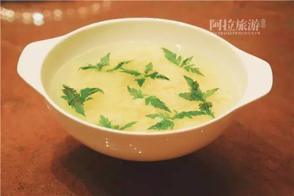 佛手瓜禁忌有哪些,佛手瓜禁忌相克(宁波人最常吃的几种野菜) 佛手瓜禁忌有哪些,佛手瓜禁忌相克(宁波人最常吃的几种野菜)
