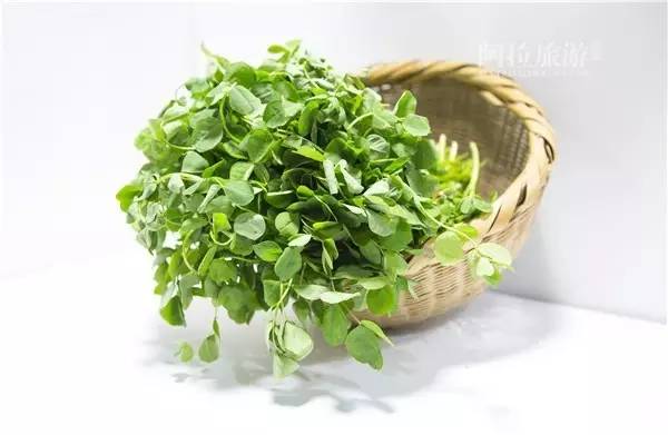 佛手瓜禁忌有哪些，佛手瓜禁忌相克（宁波人最常吃的几种野菜）