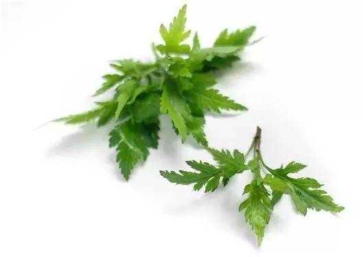 佛手瓜禁忌有哪些，佛手瓜禁忌相克（宁波人最常吃的几种野菜）