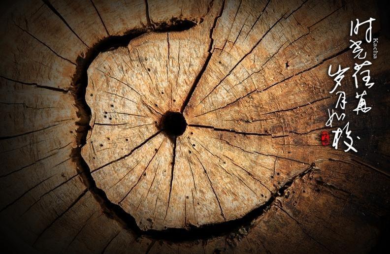 悼念的拼音怎么读，悼念的拼音（集梧，逢春须有日 岭上白云横）