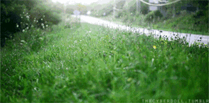 佛手瓜禁忌有哪些，佛手瓜禁忌相克（宁波人最常吃的几种野菜）