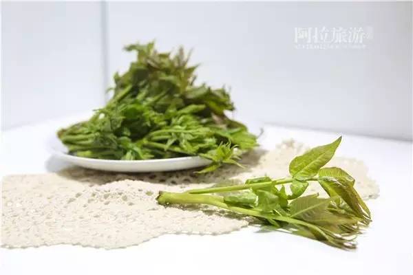 佛手瓜禁忌有哪些,佛手瓜禁忌相克(宁波人最常吃的几种野菜) 佛手瓜禁忌有哪些,佛手瓜禁忌相克(宁波人最常吃的几种野菜)