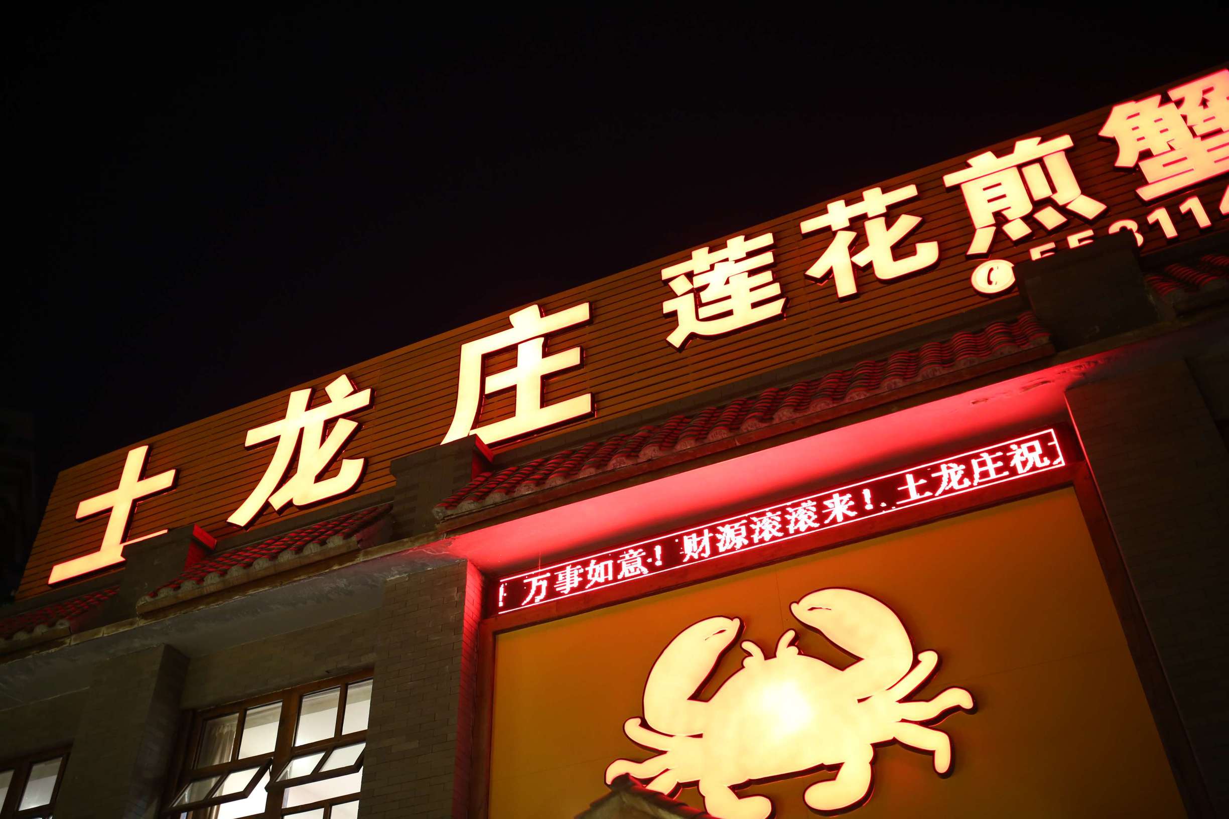 土龙是什么东西土龙长什么样子，土龙是什么样子的（土龙不土，它竟然是进补佳品）