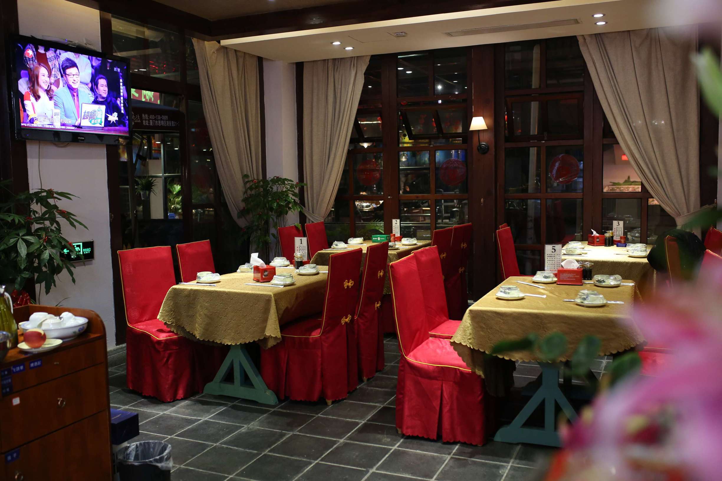 土龙是什么东西土龙长什么样子，土龙是什么样子的（土龙不土，它竟然是进补佳品）