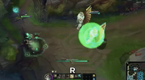 战地之王加里奥皮肤多少钱，英雄联盟中加里奥的皮肤及其价格（这款皮肤的身价瞬间提升了10倍）