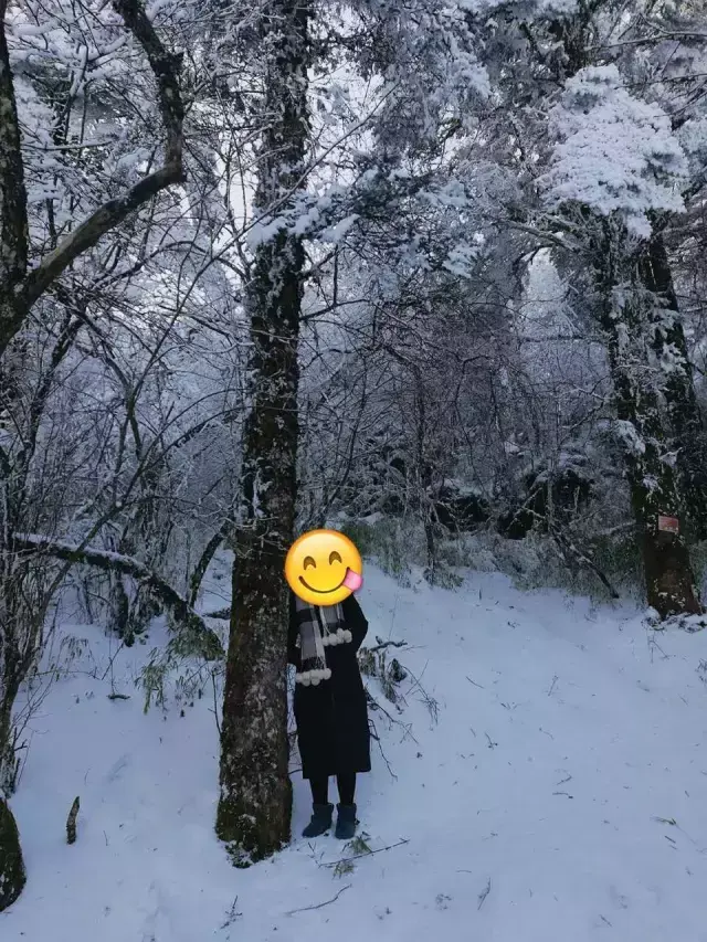 麦兜๑，微信头像，麦兜๑（军嫂手机里最珍贵的照片）