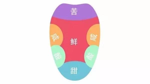 在家里什么东西能代替舌头？美味体验都来自舌头？