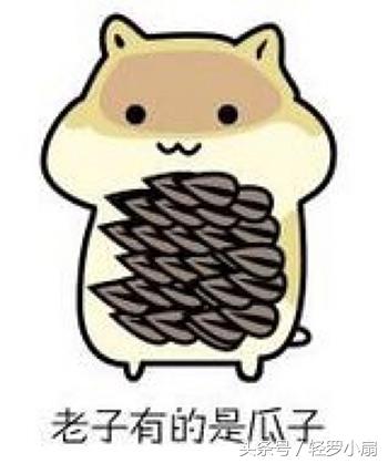 吃西瓜子会胖吗，吃西瓜子会胖吗为什么（嗑瓜子会发胖吗）