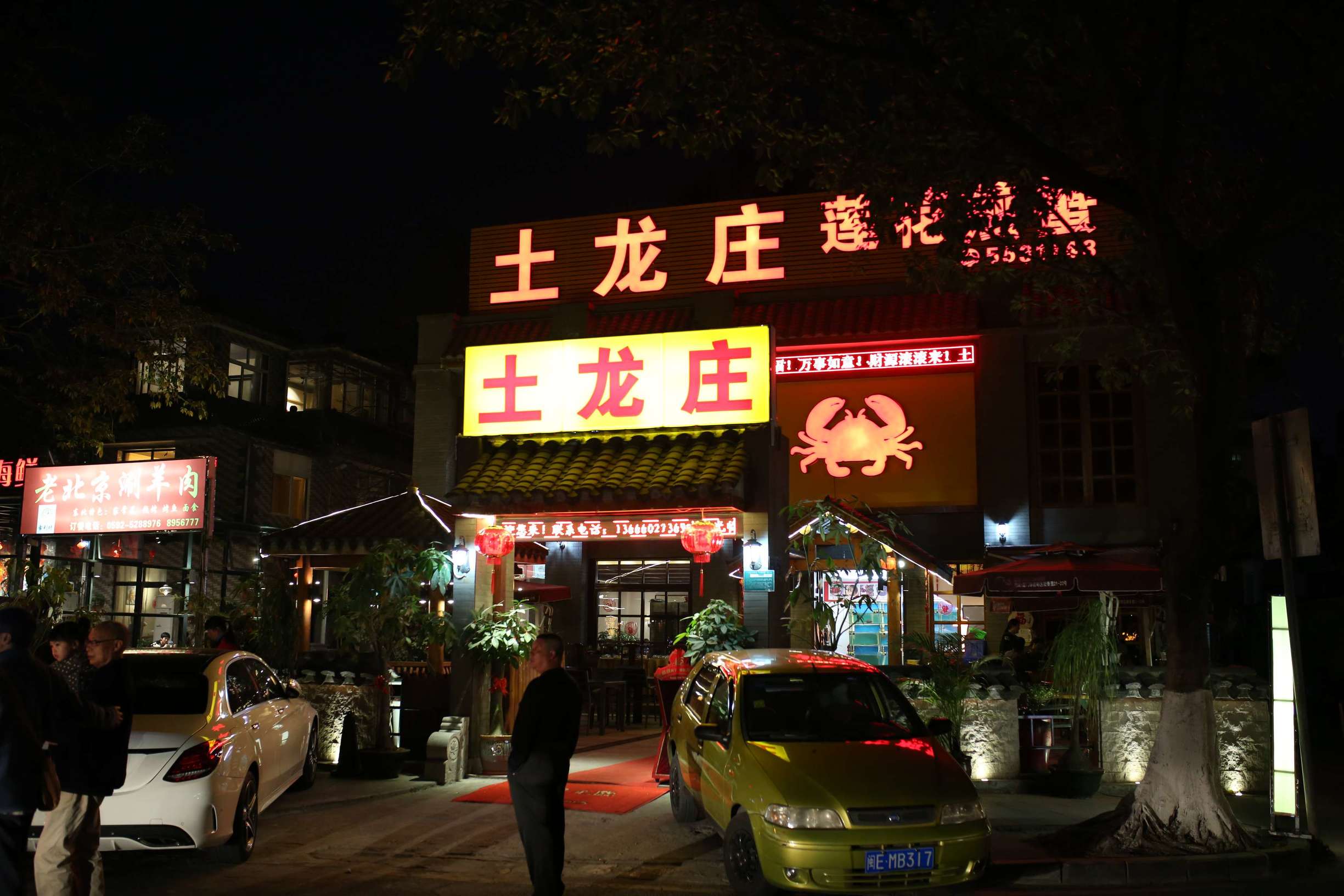 土龙是什么东西土龙长什么样子，土龙是什么样子的（土龙不土，它竟然是进补佳品）