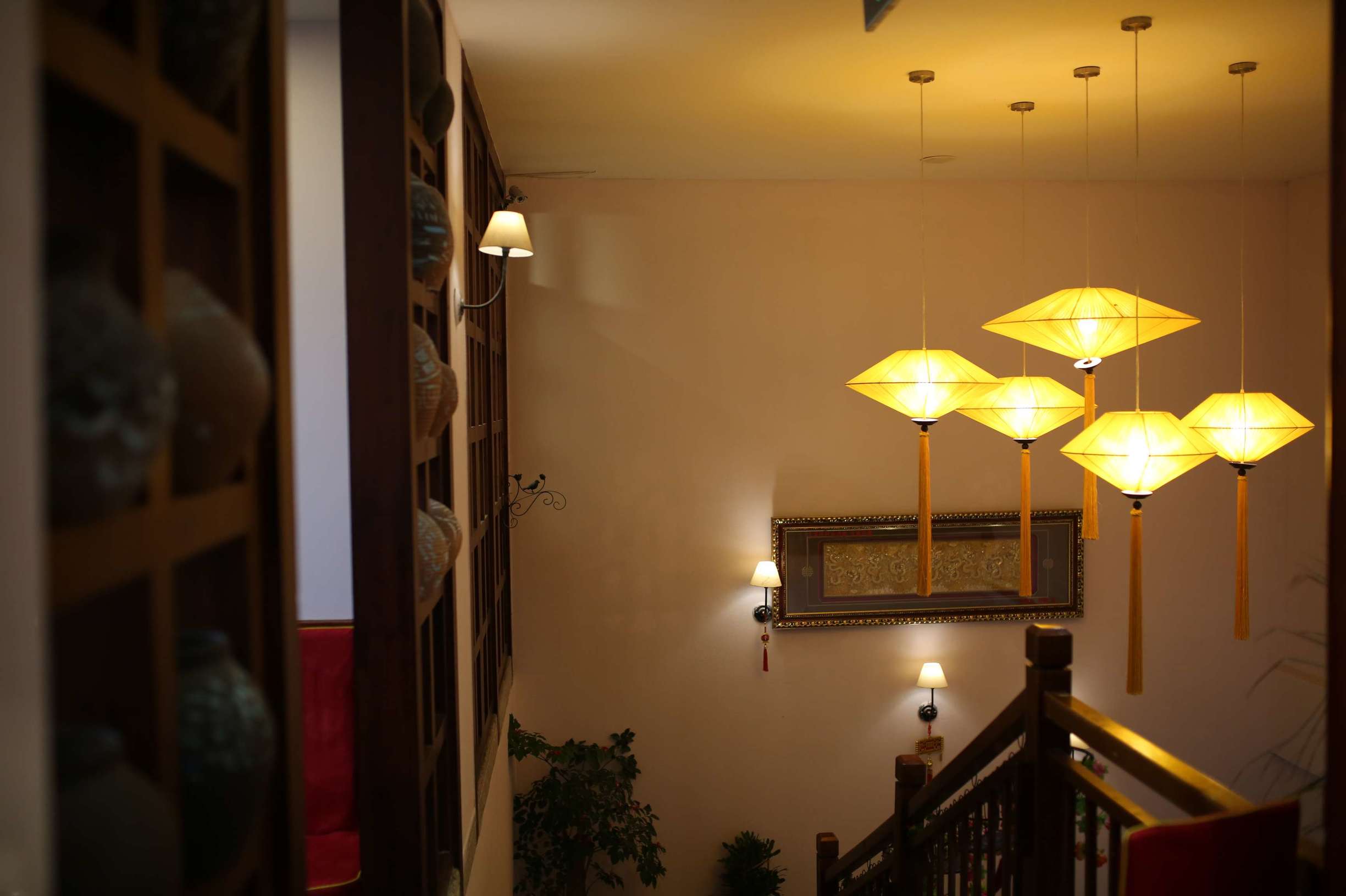 土龙是什么东西土龙长什么样子，土龙是什么样子的（土龙不土，它竟然是进补佳品）